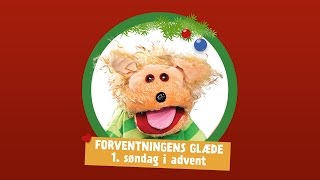 1. søndag i advent: Forventningens glæde