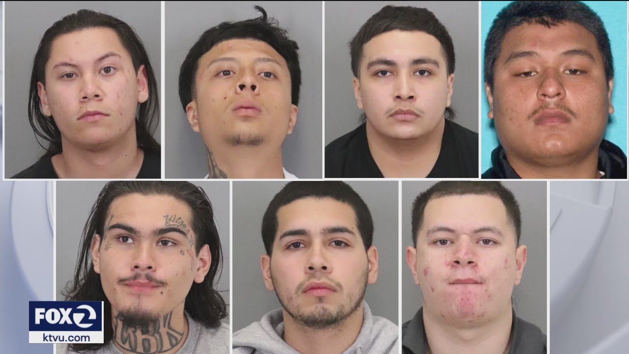 12 Arrested In Alleged San Jose Gang Sweep - YouTube