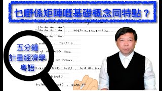 【Cantonese粵語】五分鐘計量經濟學（計量經濟學輔導）第二十四集：乜嘢係矩陣嘅基礎概念同特點？