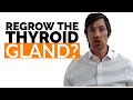 Can the Thyroid Gland Grow Back or Regrow?