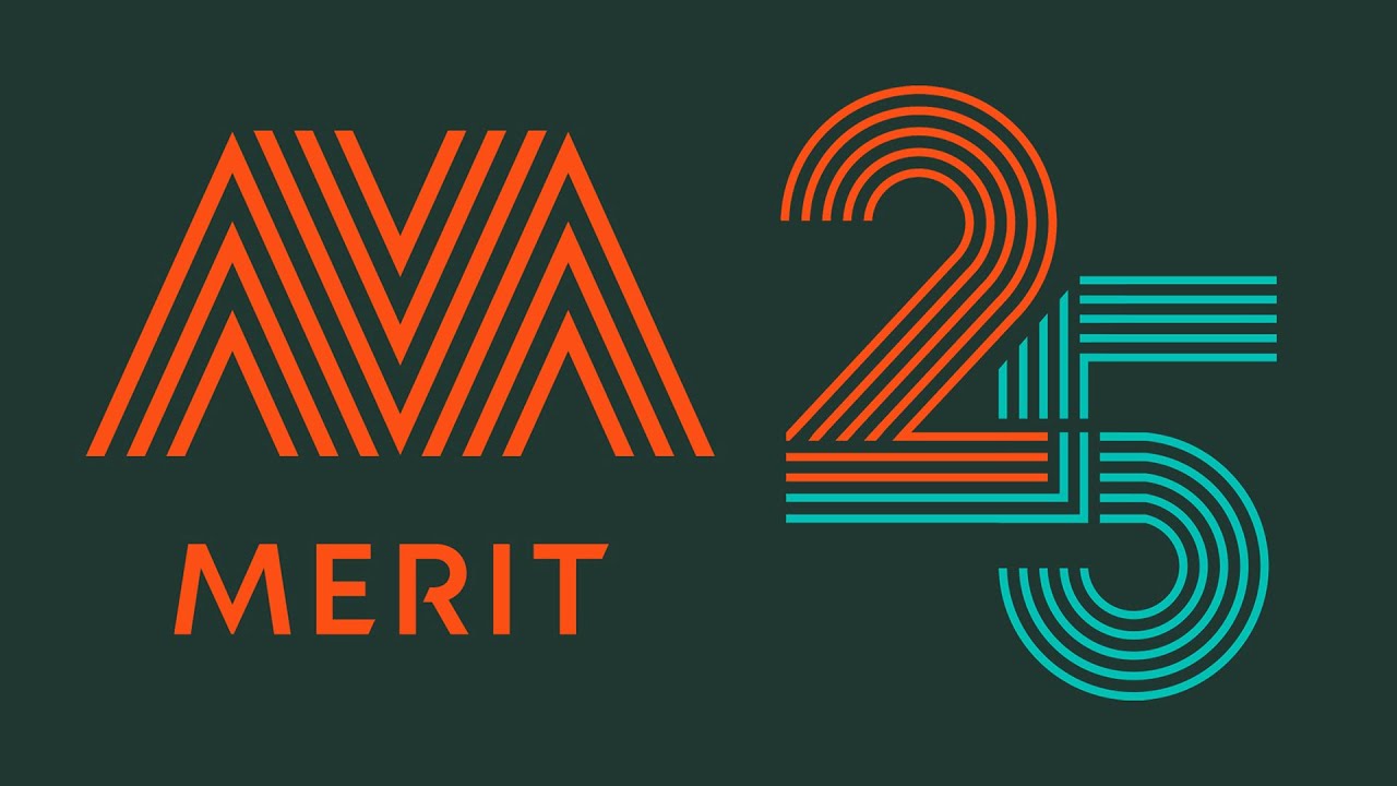 25 Years Of Merit Software Youtube