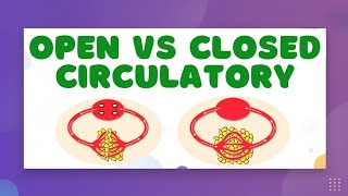 Animal Circulatory Systems — Open vs. Closed Circulatory