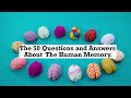 Biology | 50 Questions and Answers about Human Memory