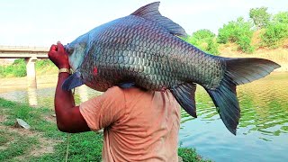 🐟King Saiz 20Kg Big Monster Catching | Amazing Fishing video | Singh Shikaar Fishing