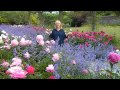 Peonies in Mount Congreve, Waterford