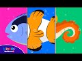 The Sea Animal Parts Matching Game - Learn the Different kinds Sea Animals Names and Videos