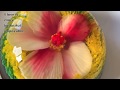 3D GELATIN ART HIBISCUS FLOWER WITH PATTERN