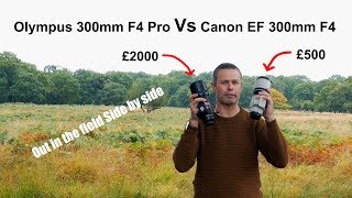 Olympus 300mm f4 Pro Vs Canon EF 300mm F4 L