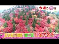 【CBC】11/30放送の「花咲かタイムズ」は、放送前日撮影！愛三岐 紅葉の名所