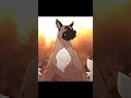 Warrior cats Swiftpaw edit