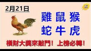2月21日生肖運勢_雞、鼠、猴大吉 | 生肖命理