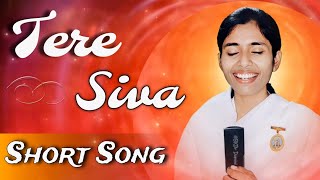 Tere Siva || Short Song || BK Dr.Damini