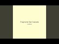 Fragments Star Cascade