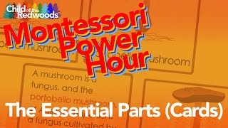 The Montessori Power Hour: The Essential Parts (Cards)