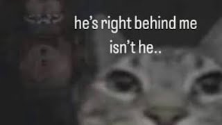 EVERY SINGLE GILBERT EDIT 2