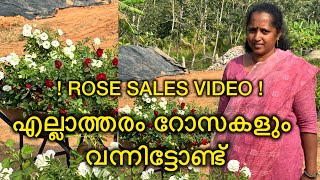 Orchid ₹250 Combo + Rose Combo || Anju‘sgarden || R-Perunad || Pathanamthitta