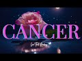 ❤️😮CANCER Cancer Someone Will Be Jealous of this Love in Your Life! Cancer Love Tarot Horoscope