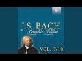 Der Friede sei mit dir, BWV 158: III. Recitativo. Nun Herr, regiere meinen Sinn (Basso)