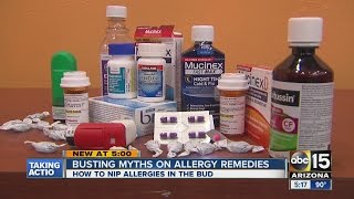 ABC15 busting myths on allergy remedies