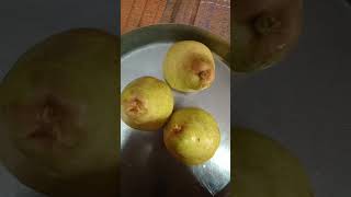 pear 🍐🍐🍐🍐 fruit  😋😋😋 yummy and Healthy and Testy..🍐🍐🍐🍐