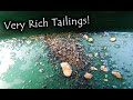 Lots of gold found in old tailings!