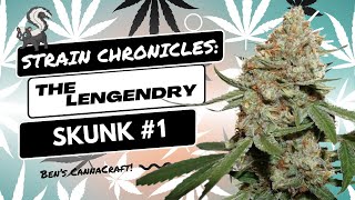 Strain Chronicles: The Legendary Skunk #1