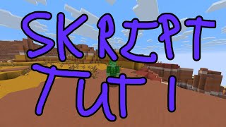 How to set up a server and install Skript. (Skript Tutorial 1)