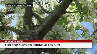 Tips for curbing spring allergies