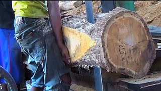 proses penggergajian kayu jati bahan baku perahu