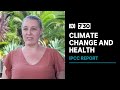 Doctors say climate change is already having devastating effects on our health | 7.30