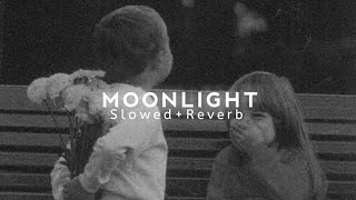 Moonlight (Slowed+Reverb) ~Slowed SXM