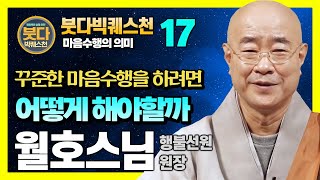 월호 스님, 수행을 어떻게 꾸준히 할 것인가 [붓다빅퀘스천 17]