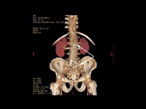 CT Continuing Education CT Continuing Education