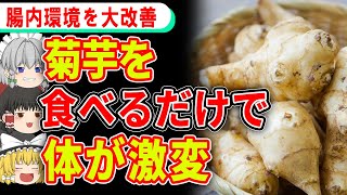 【腸活】菊芋に秘められた最強すぎる健康効果とは【ゆっくり解説】