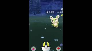 Pokémon 捕捉「色違晃晃斑」❤ 田野調查任務 8號晃晃斑 連續擲出五次曲球G球 | 【寶可夢 GO】《龍仔TV》