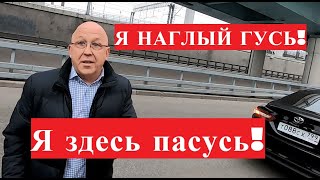 Наглые гуси с улицы Уткина! (трейлер)