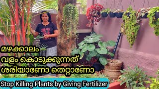 Can we Fertilize During Rainy Season | Truth & Facts | മഴക്കാലം ചെടിക്ക് വളം കൊടുക്കാമോ