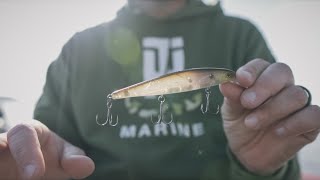 How to Fish a Jerkbait for 3 Species of Bass