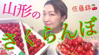 山形の名産【🍒さくらんぼ🍒】初夏のルビー佐藤錦を食す！！！