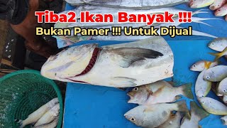 PASAR SORE BANYAK IKAN SEGAR2 DI MEJA PEDAGANG !!! SAYANG SEDIKIT \