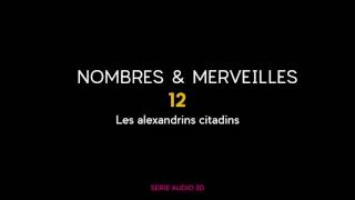 N° 12 - Les alexandrins citadins