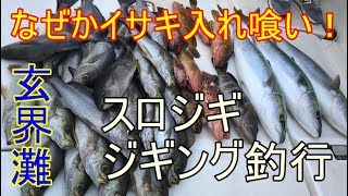 【ルアー釣り】　スロージギング釣行　イサキ入れ喰い！