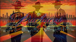 Pachucos - Lowrider Car Club