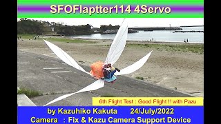 サーボ駆動羽ばたき機フラップター　SFOFlaptter114 4servo　56.5ｇ : 6th Flight Test : Good Flight !! with Pazu