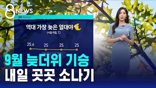 [날씨] 9월 늦더위 기승…내일 곳곳 소나기 / SBS 8뉴스