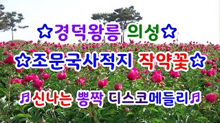 #2024#의성작약꽃#경덕왕릉#의성조문국사사적지#작약꽃#캠코더#드론영상#신나는뽕짝디스코메들리#고속도로관광메들리#신나는관광버스메들리#갈매기오부리디스코메들리#2024년5월12일#촬영