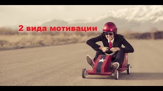 Главные виды мотивации