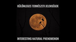 Különleges természeti jelenségek-Interesting natural phenomenon