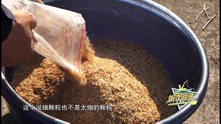 《游钓中国》之听李说渔  第26集  如何制作底窝料 Fishing tour in China【游钓中国栏目组】