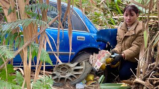 Collection of good videos about repair girls / Lý Tiểu Hằng